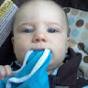 Meet your Posher, Adam